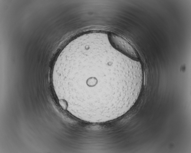 X0000115250253200912111123