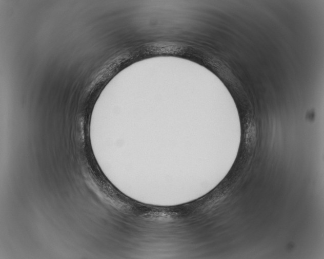 X0000115250254200912111123