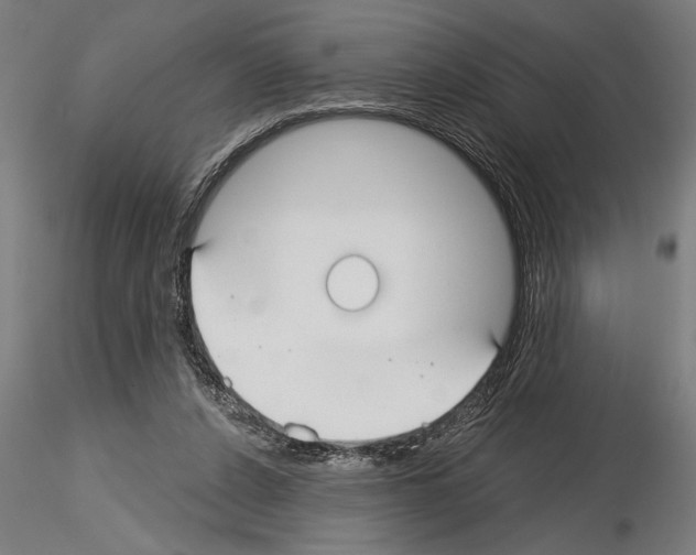 X0000115250256200912111123