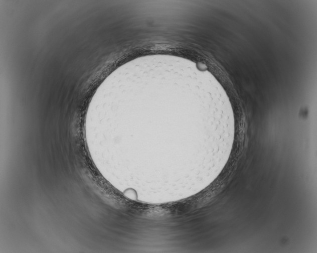 X0000115250257200912111123