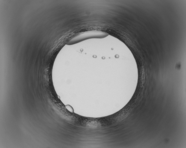 X0000115250258200912111123