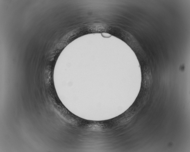 X0000115250259200912111124