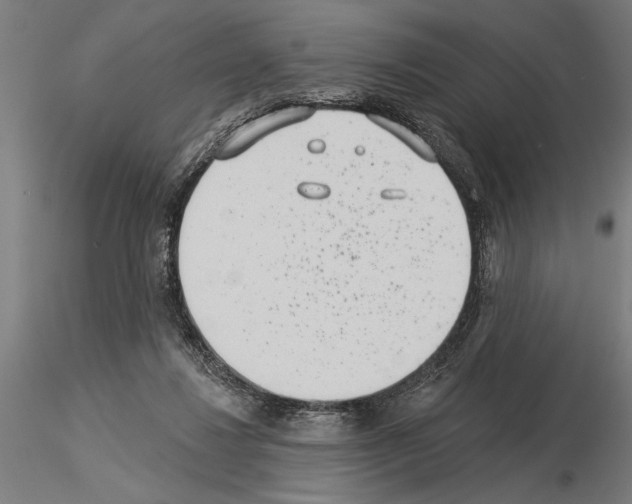 X0000115250260200912111124