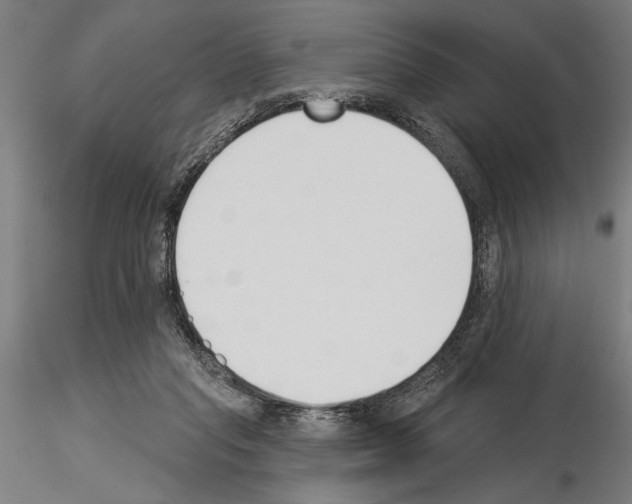 X0000115250261200912111124