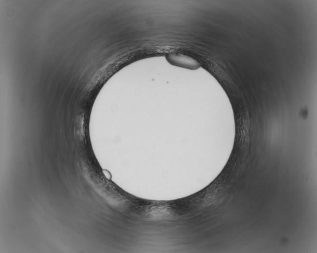 X0000115250262200912111124