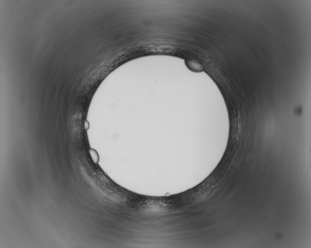 X0000115250263200912111124