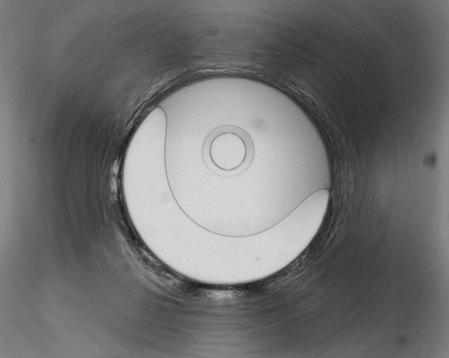 X0000115250264200912111124