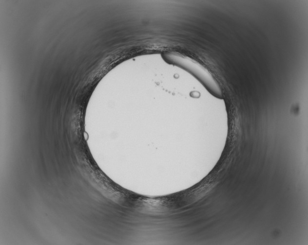 X0000115250265200912111124