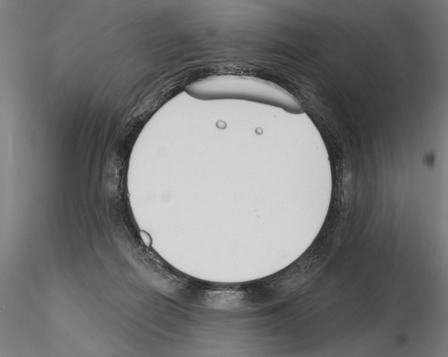 X0000115250266200912111124