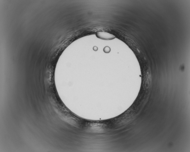 X0000115250268200912111124