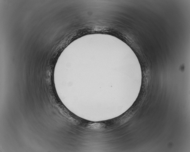 X0000115250269200912111124