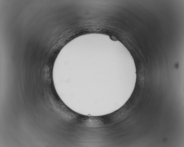 X0000115250270200912111124