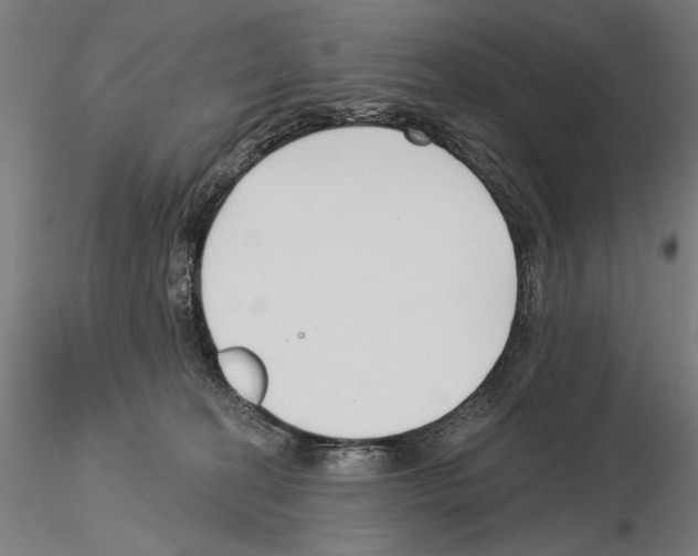 X0000115250274200912111124