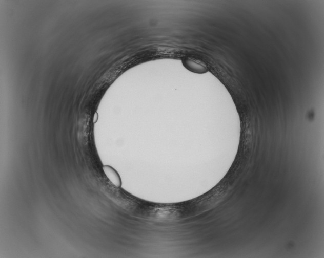 X0000115250275200912111124