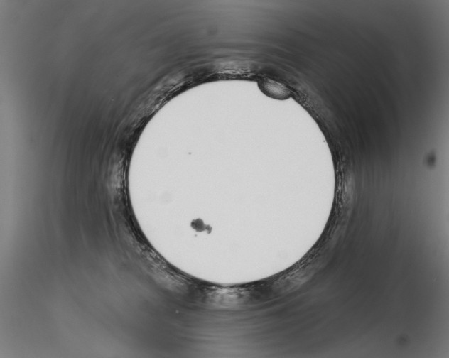 X0000115250277200912111124