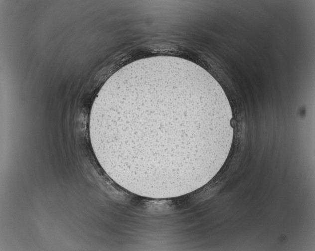 X0000115250281200912111124