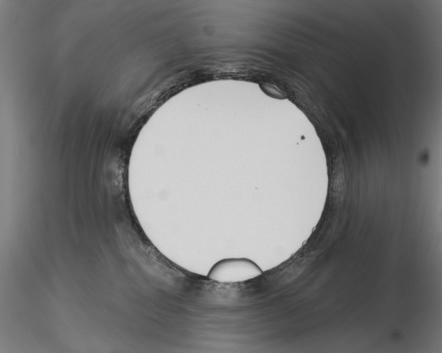 X0000115250282200912111124