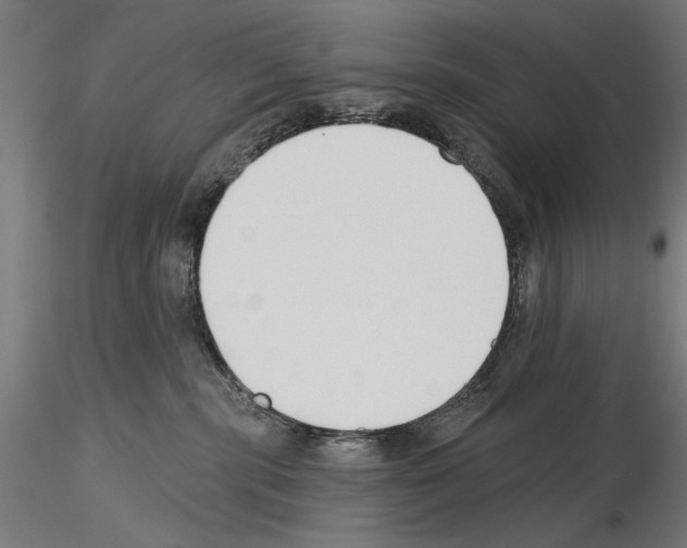 X0000115250283200912111124