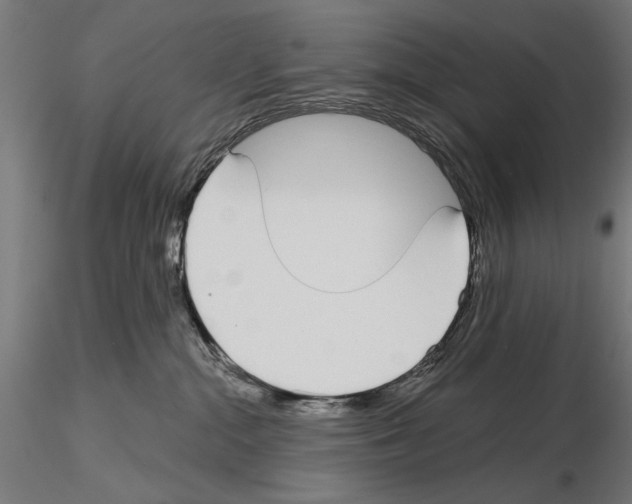 X0000115250284200912111124