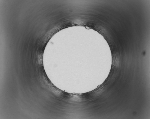 X0000115250285200912111124