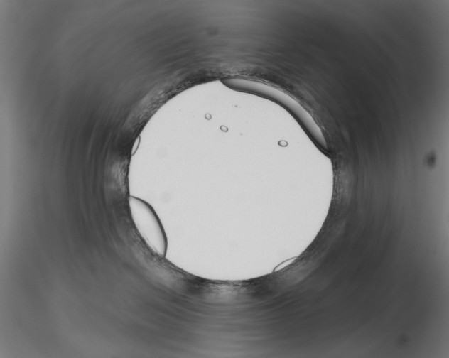 X0000115250286200912111124