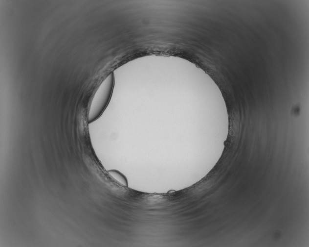 X0000115250287200912111124
