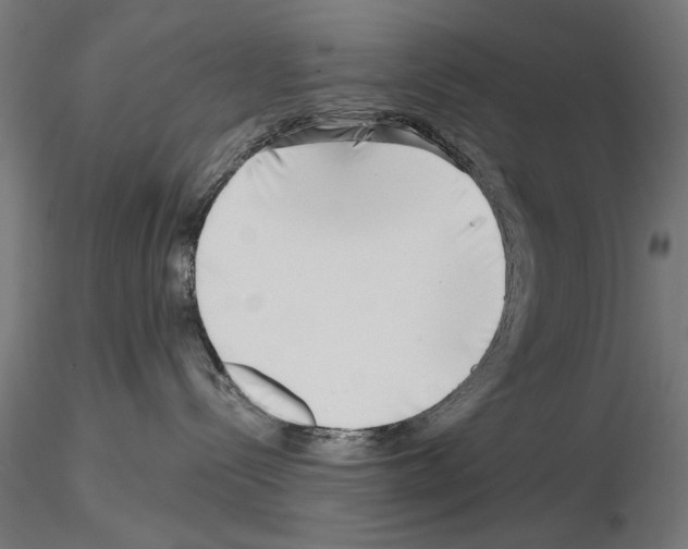 X0000115250288200912111124