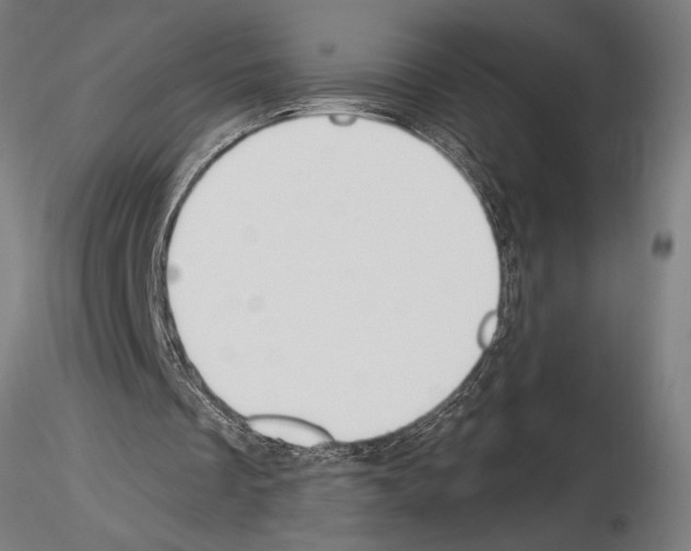 X0000115250289200912111123