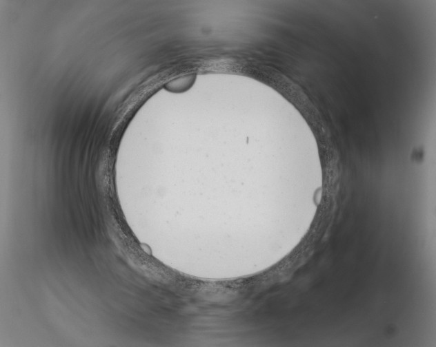 X0000115250290200912111123