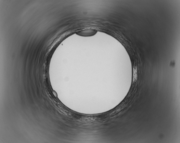 X0000115250291200912111123