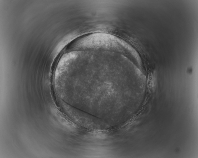 X0000115250292200912111123