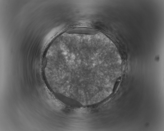 X0000115250293200912111123