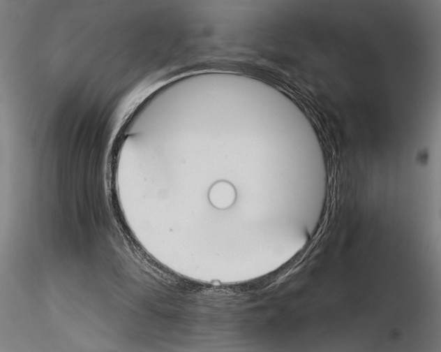 X0000115250294200912111123