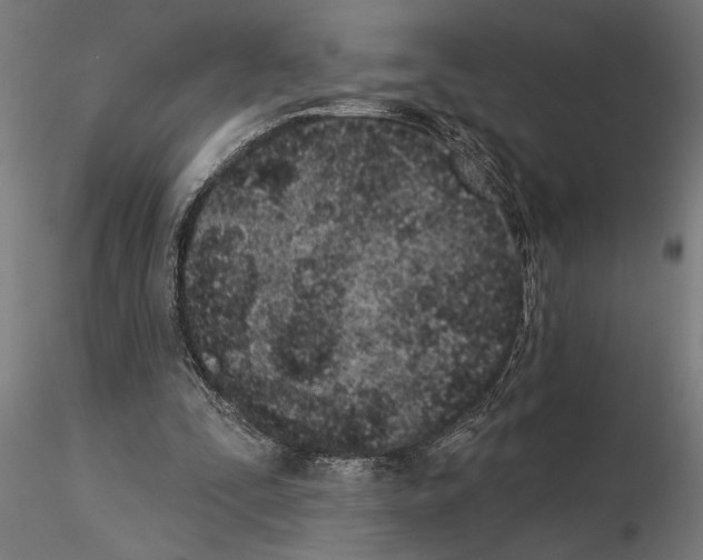 X0000115250295200912111123