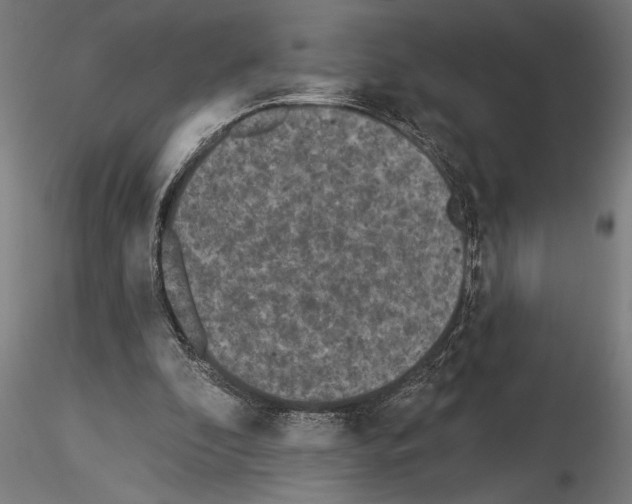 X0000115250296200912111123