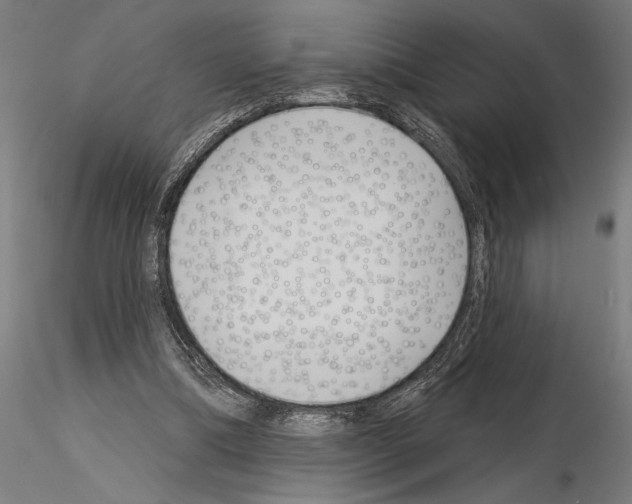 X0000115250298200912111123