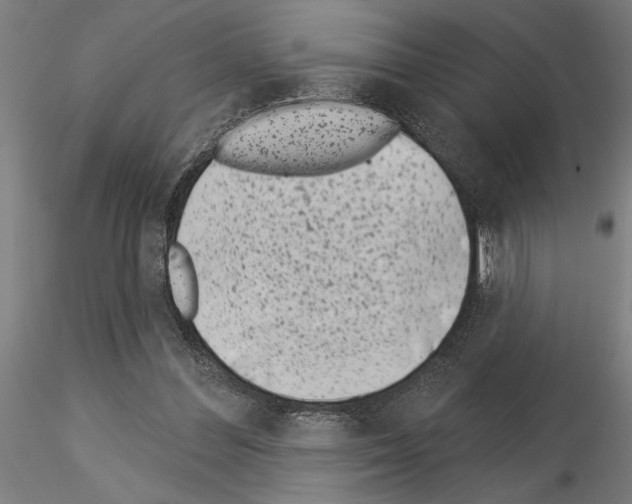 X0000115250300200912111123
