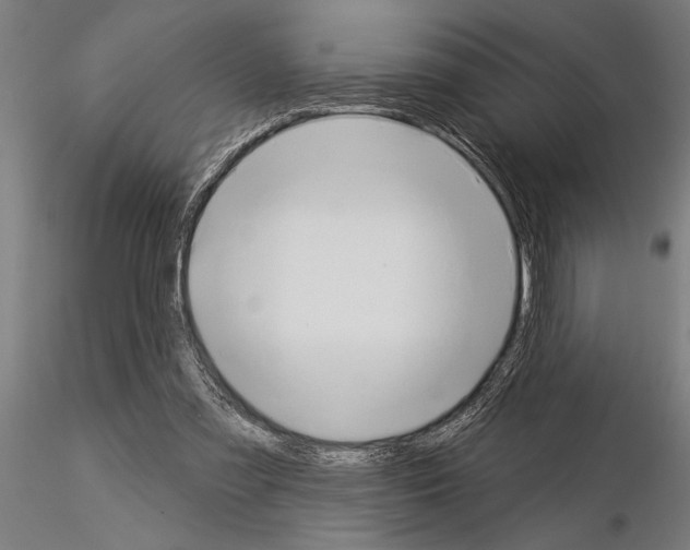 X0000115250301200912111123