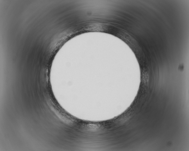 X0000115250302200912111123