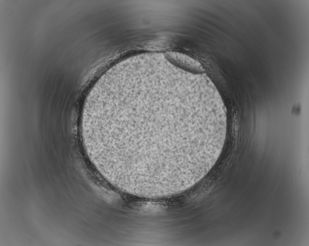 X0000115250303200912111123