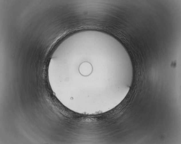 X0000115250304200912111123
