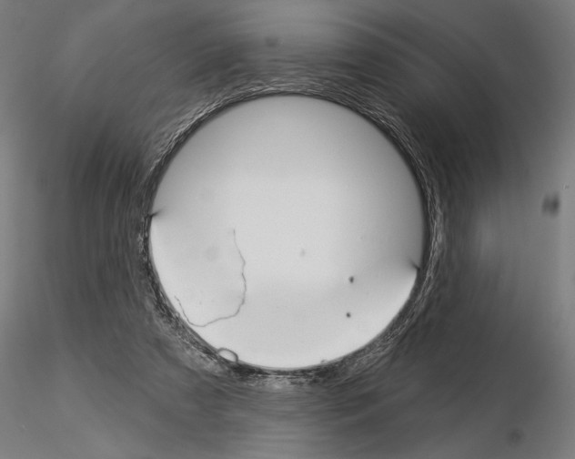 X0000115250305200912111123