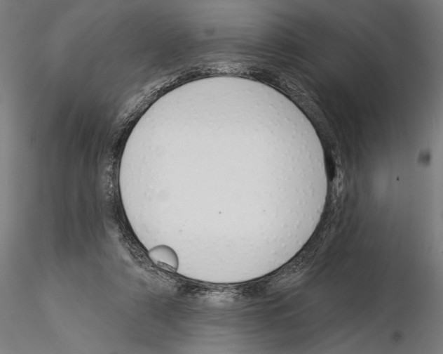 X0000115250306200912111123