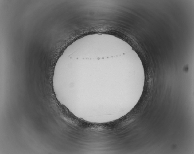 X0000115250307200912111123
