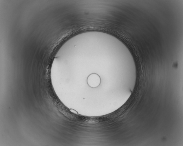 X0000115250308200912111123