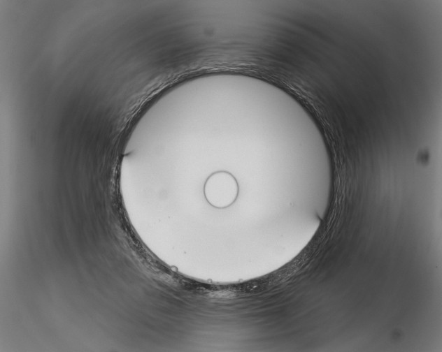 X0000115250309200912111123