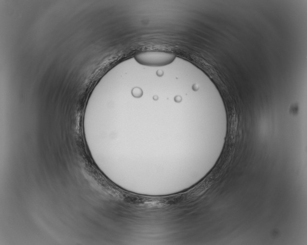 X0000115250310200912111123