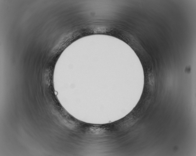 X0000115250311200912111123