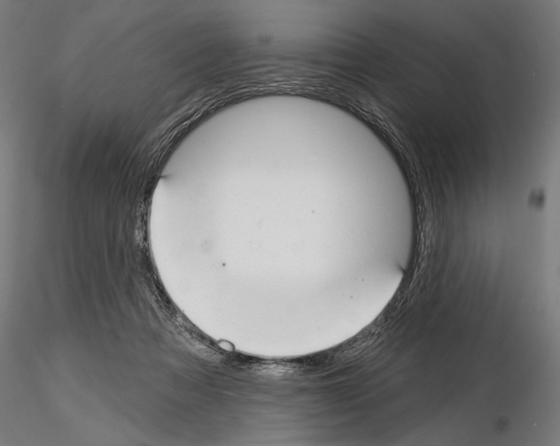 X0000115250313200912111123