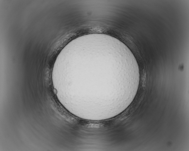 X0000115250314200912111123